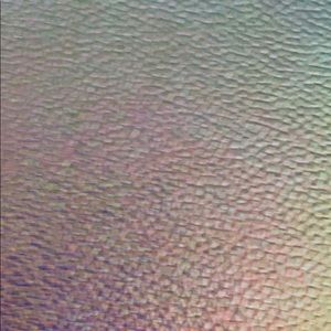 Meet your Posher, Dayanara